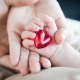 اکوکاردیوگرافی بیماران قلبی مادرزادی